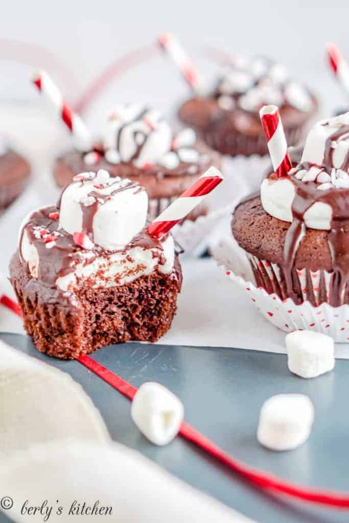 The finished hot chocolate cupcakes with peppermint garnish.