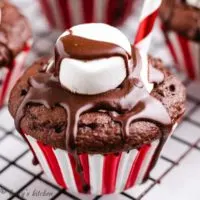 A hot chocolate cupcake topped with a marshmallow.