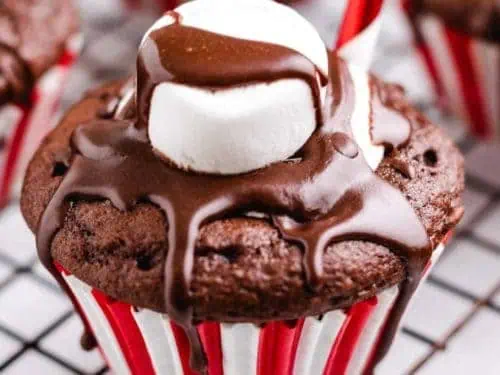 A hot chocolate cupcake topped with a marshmallow.
