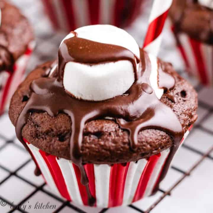 A hot chocolate cupcake topped with a marshmallow.