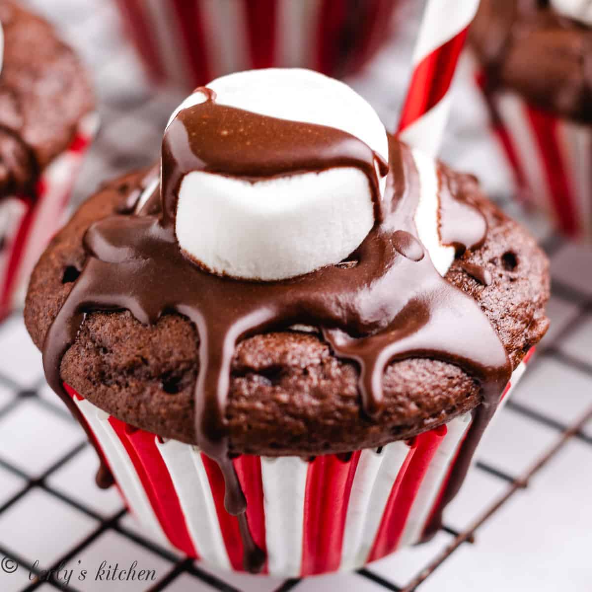 Hot chocolate cupcakes