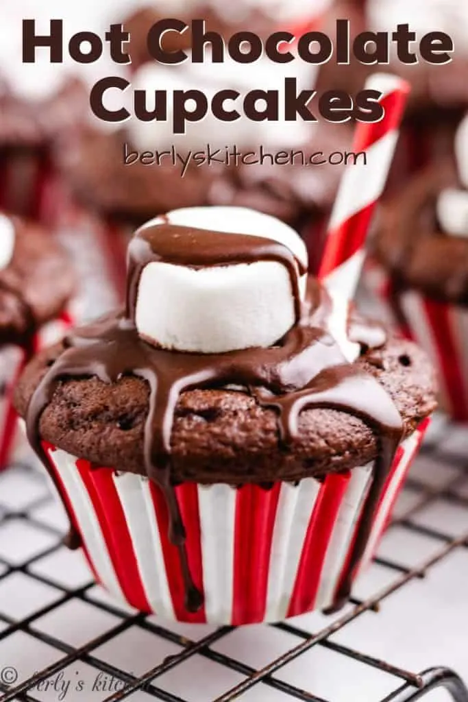A hot chocolate cupcake with marshmallow and frosting on top.