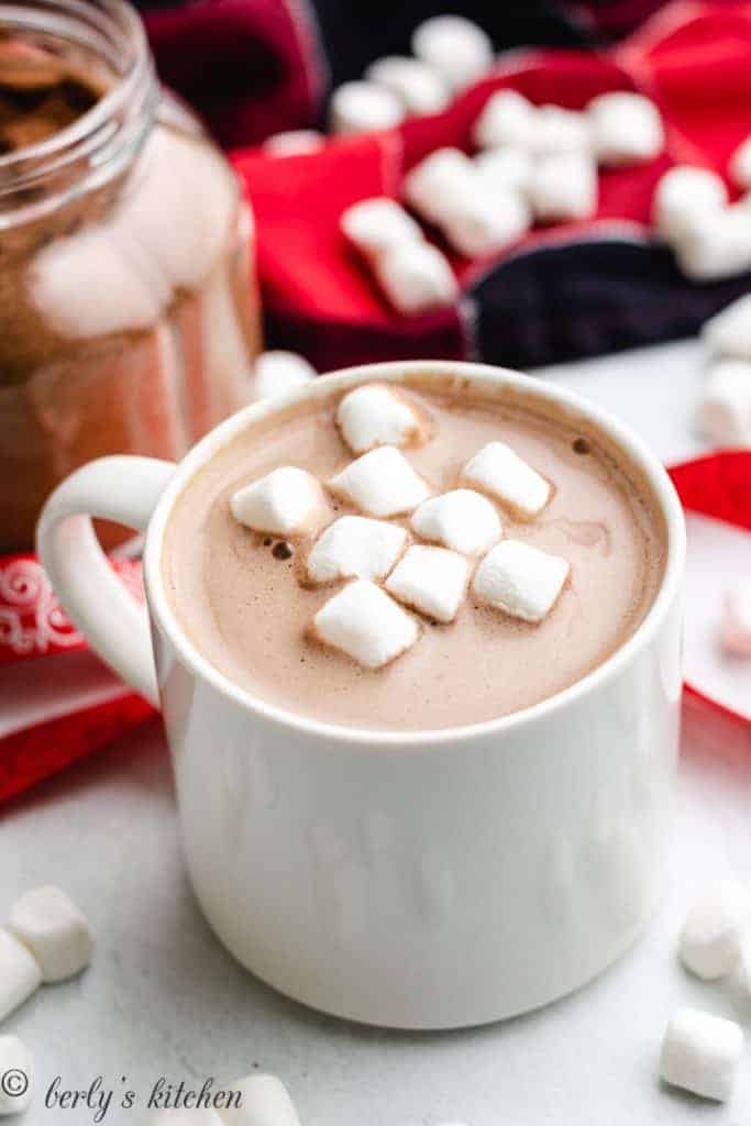 Cup of hot chocolate with marshmallows.