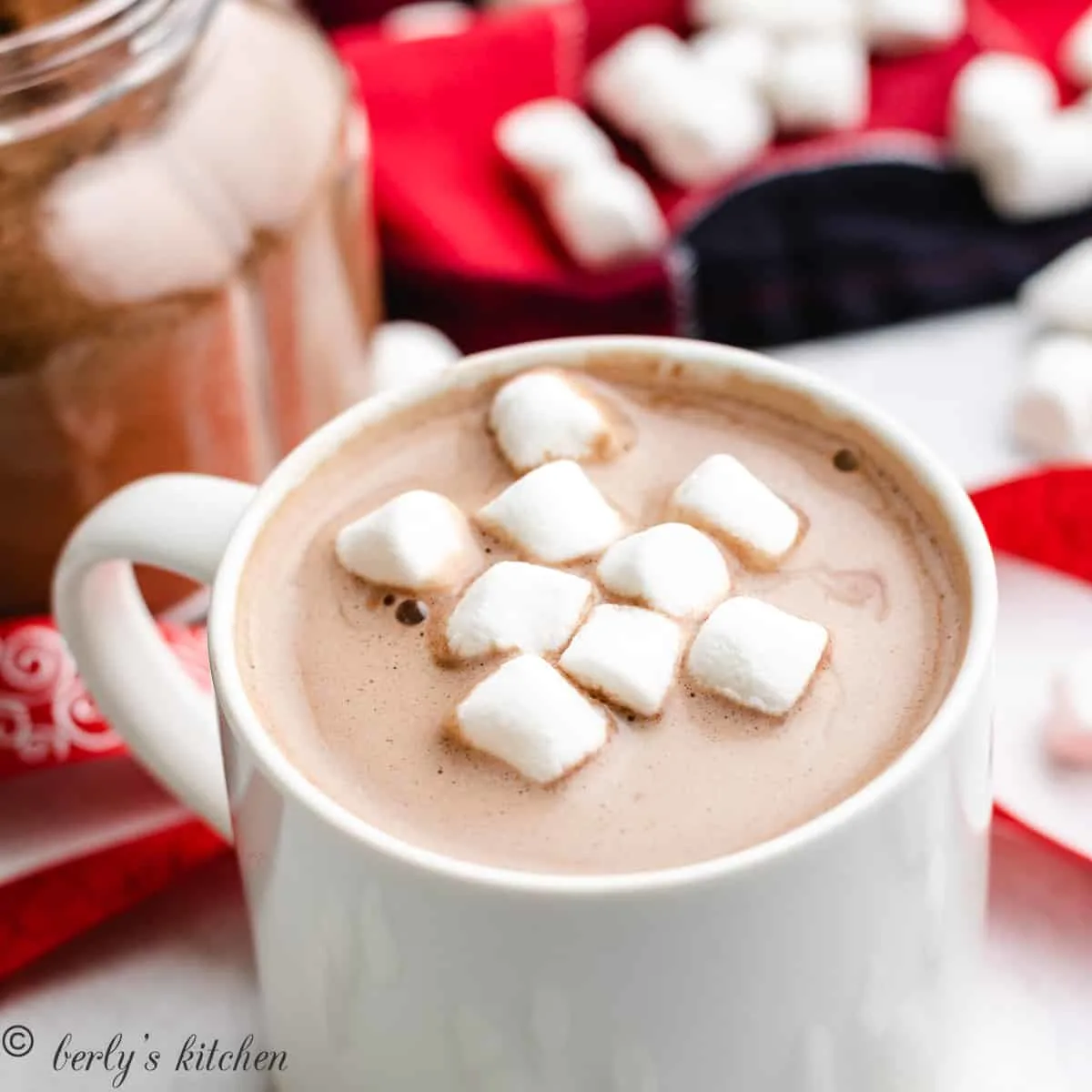 Homemade Hot Chocolate Mix (Without