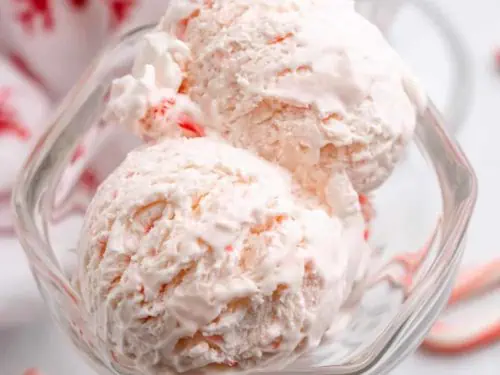 Three scoops of the peppermint ice cream in a tulip glass.