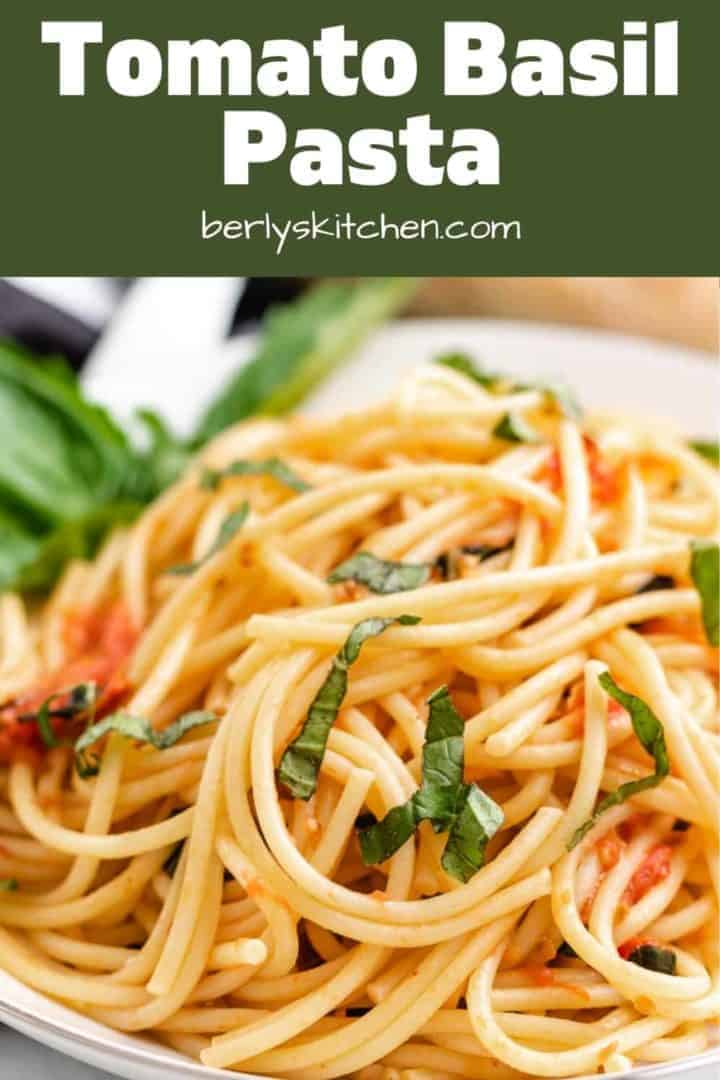 A close-up view of the finished tomato basil pasta.