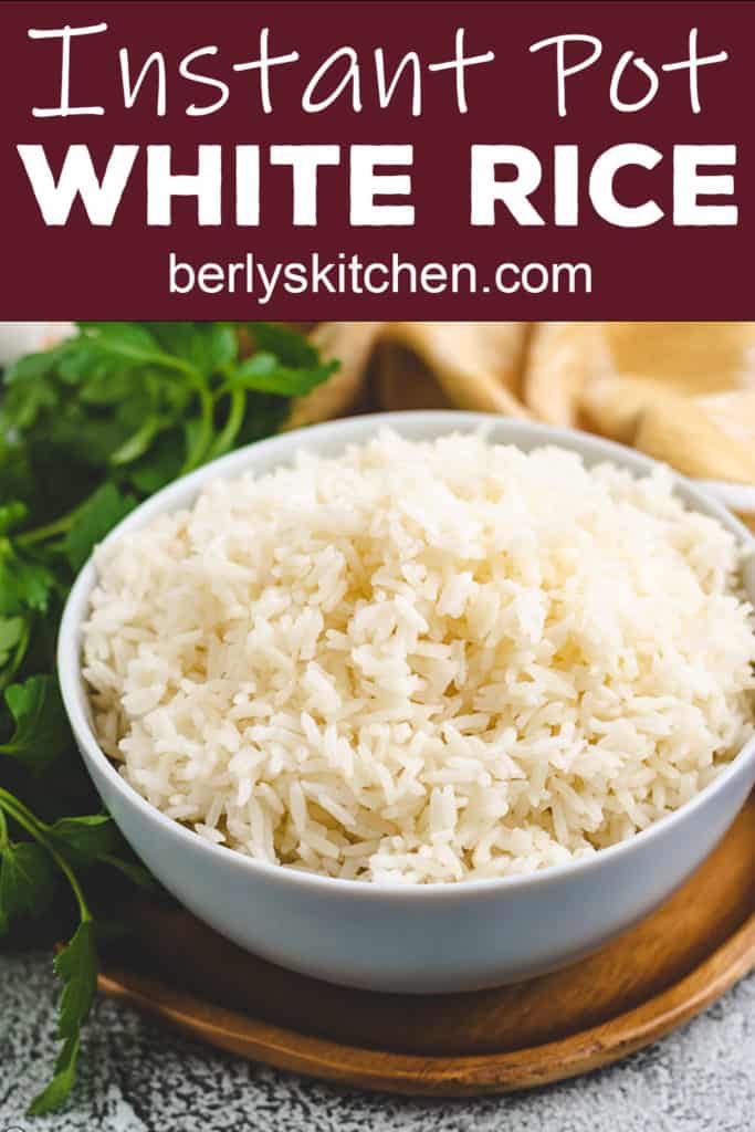 Blue bowl filled with fluffed white rice.