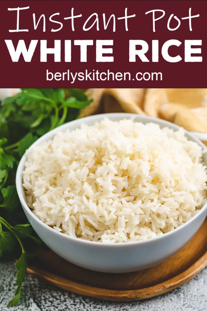 Blue bowl filled with fluffed white rice.
