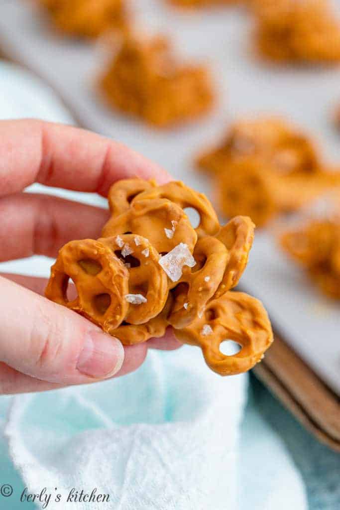 Hand holding a peanut butter pretzel cookie.