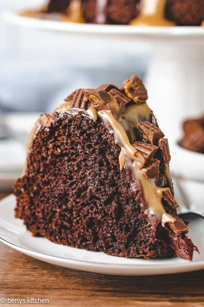 Chocolate cake covered with peanut butter sauce.