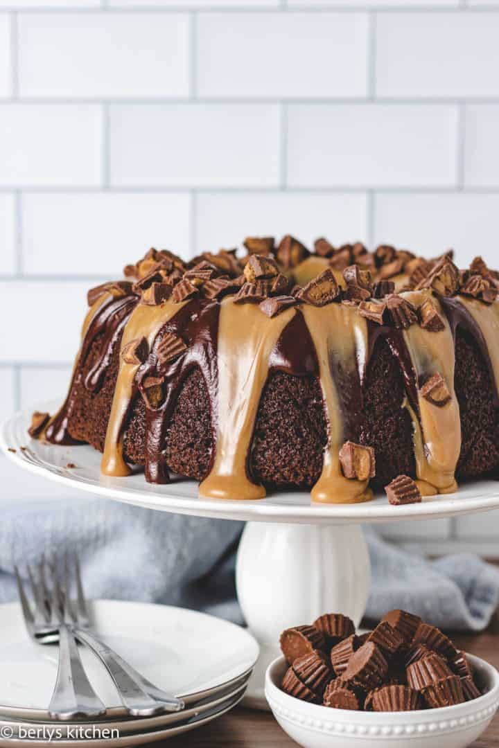 Chocolate peanut butter bundt cake on a cake stand.