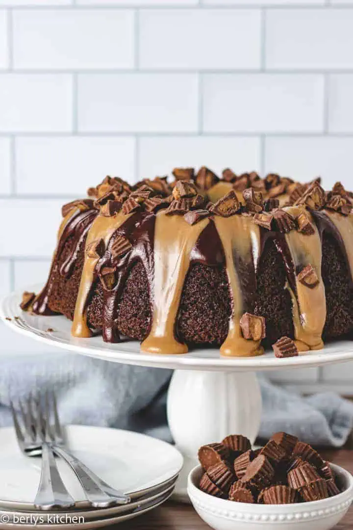 Chocolate peanut butter bundt cake on a cake stand.