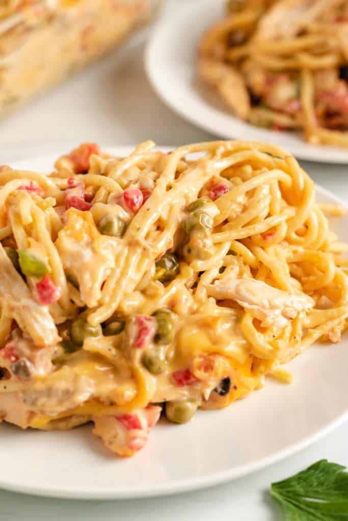 Close up of chicken spaghetti on a plate.
