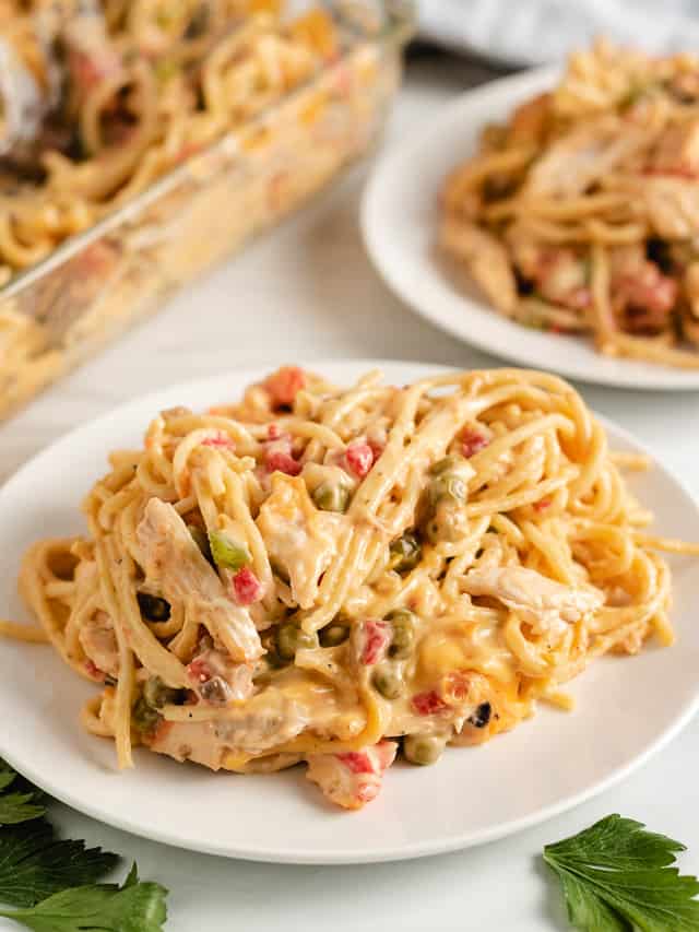 Chicken spaghetti on a white plate.