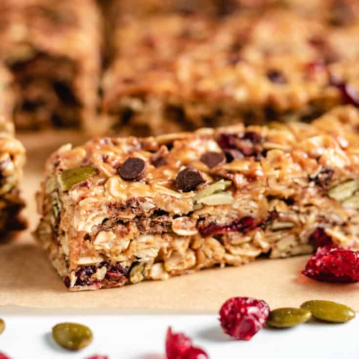 Close up view of homemade granola bars with cranberries.