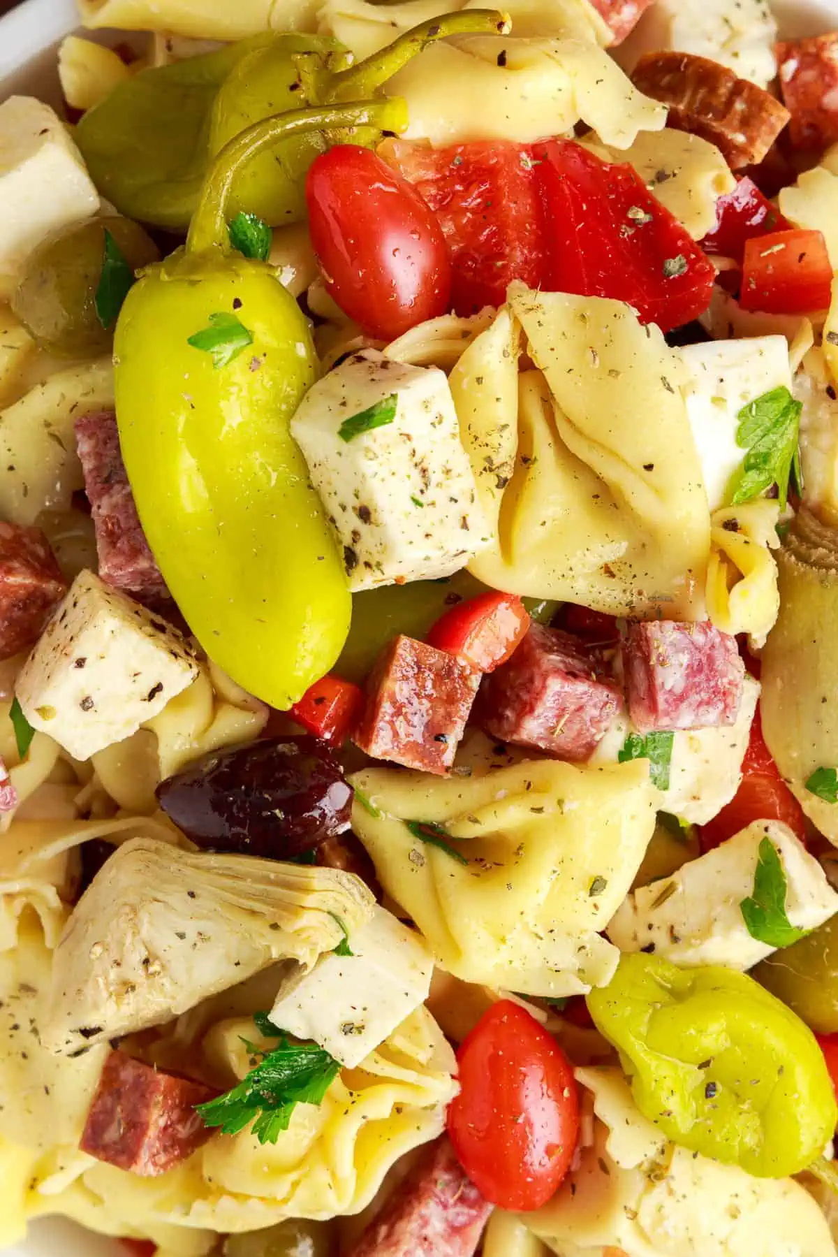 Close up view of antipasto salad.