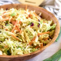 Side view of a bowl of asian cabbage salad.
