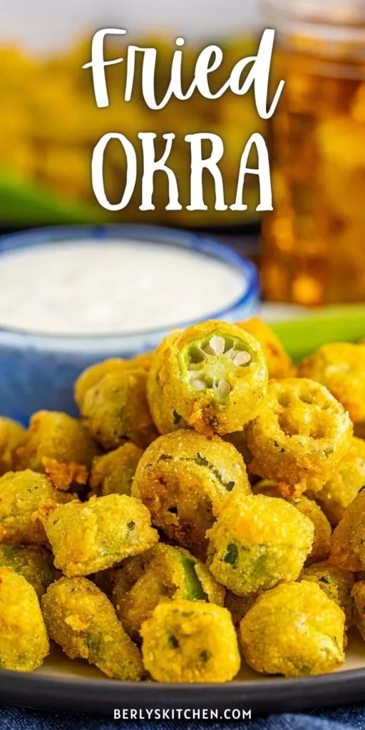 Close up view of fried okra on a plate.