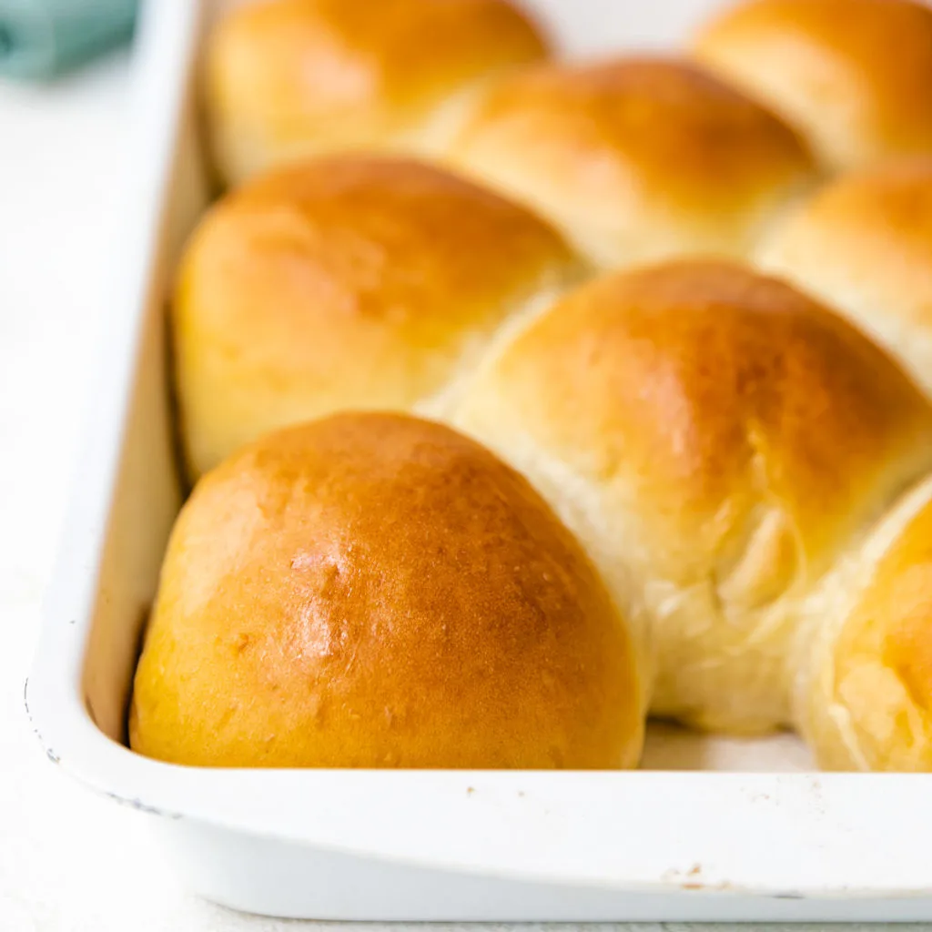 Freshly baked rolls in a white pan.