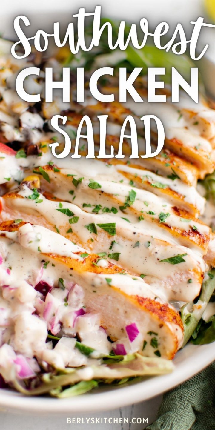 Close up view of southwest chicken salad in a bowl.