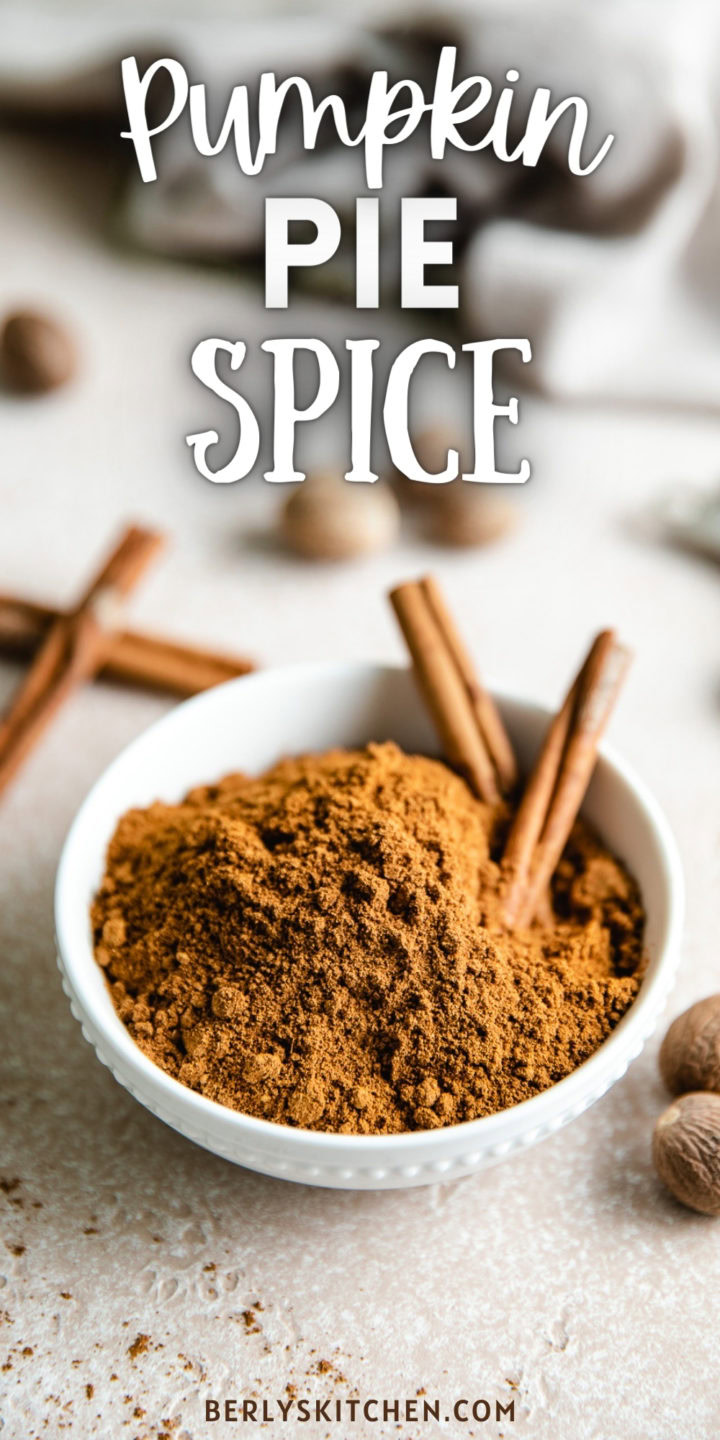 Two cinnamon sticks in a bowl of pumpkin pie spice.