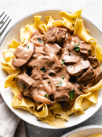 Top down view of stroganoff on a plate.