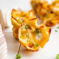 Close up view of two jalapeno popper wontons.