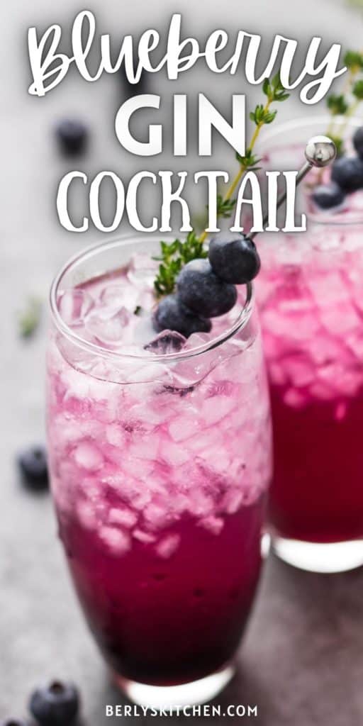 Blueberry Gin Cocktail