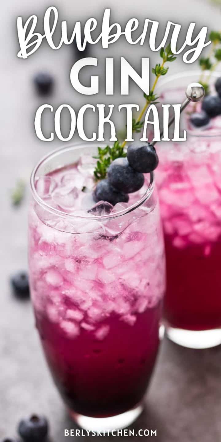 Close up view of two blueberry gin cocktails.