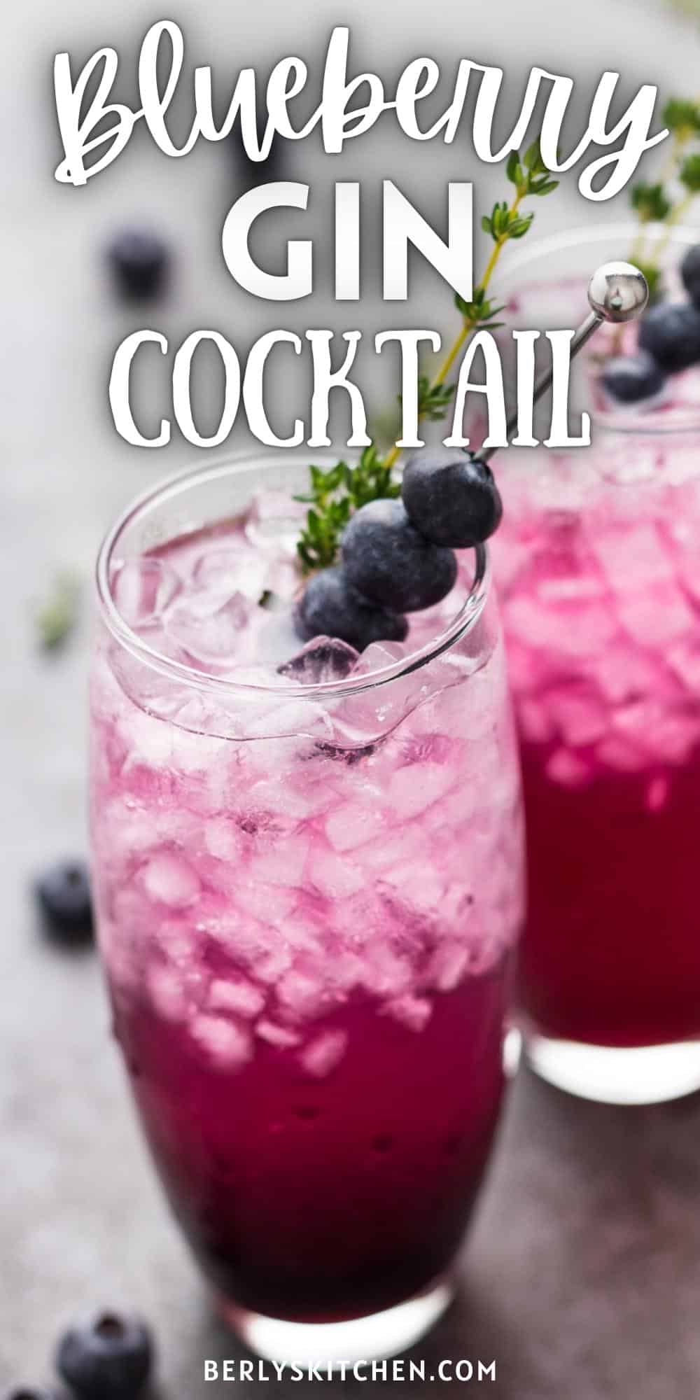 Blueberry Gin Cocktail