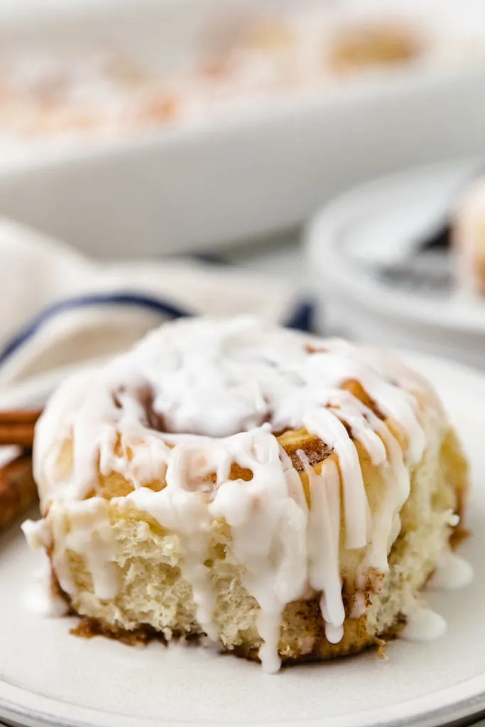 Close up view of a cinnamon roll on a plate.