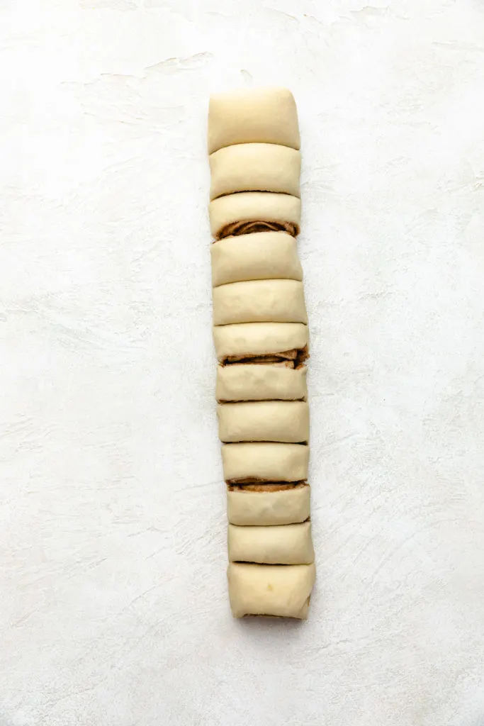 Unbaked cinnamon rolls in a log.