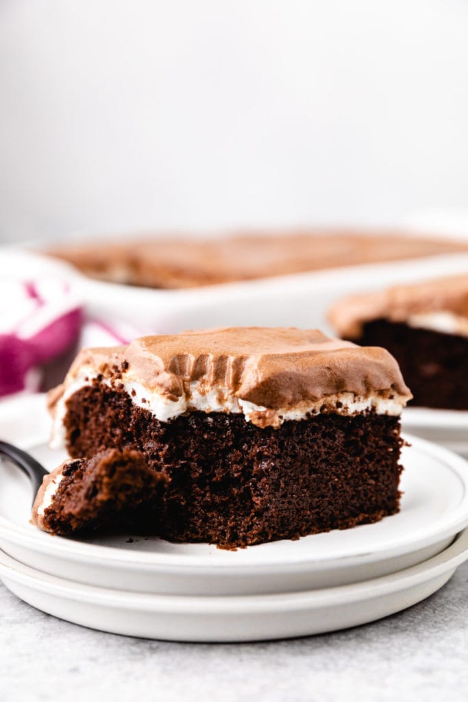 Chocolate marshmallow cake with a bite taken out.