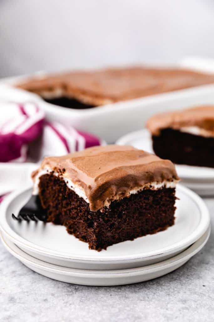 Chocolate cake on a plate.