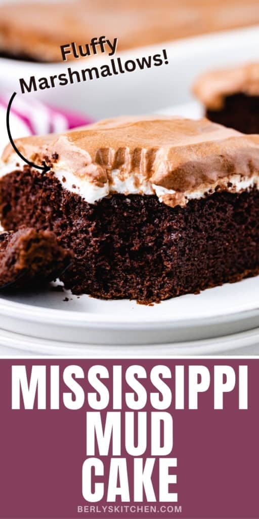 Close up view of a slice of mississippi mud cake.