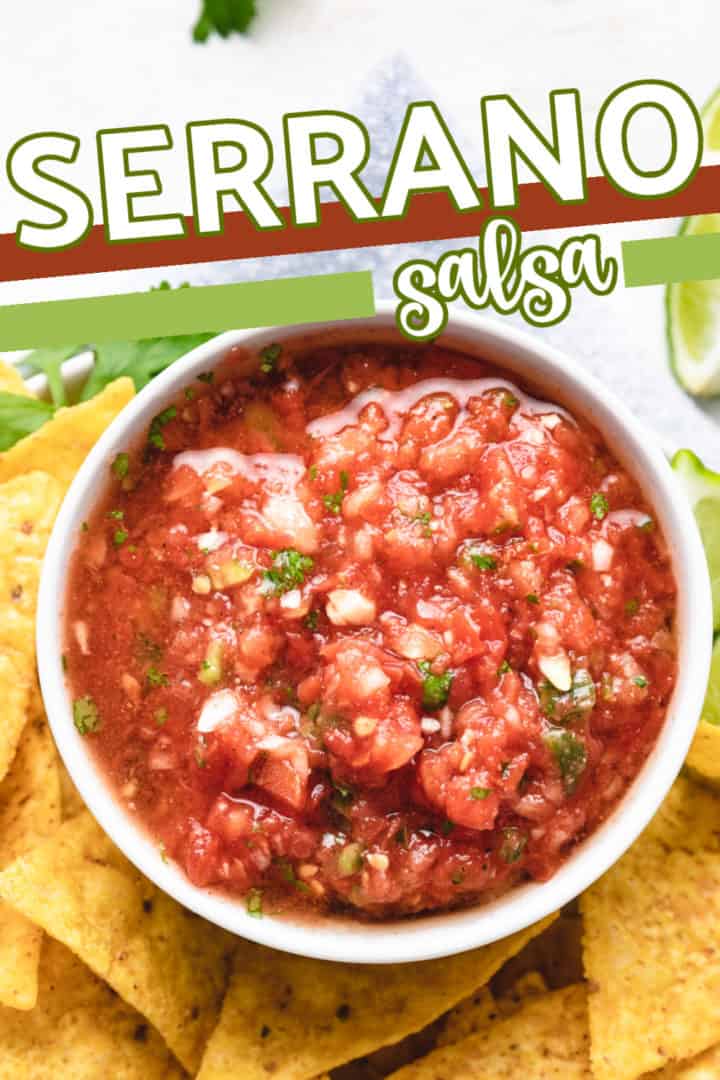 Top down view of a bowl of salsa.