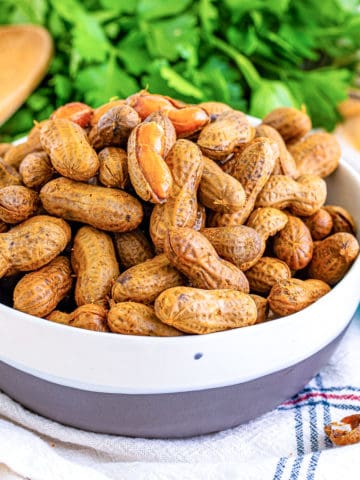 Close up view of a bowl of Cajun Boiled Peanuts.
