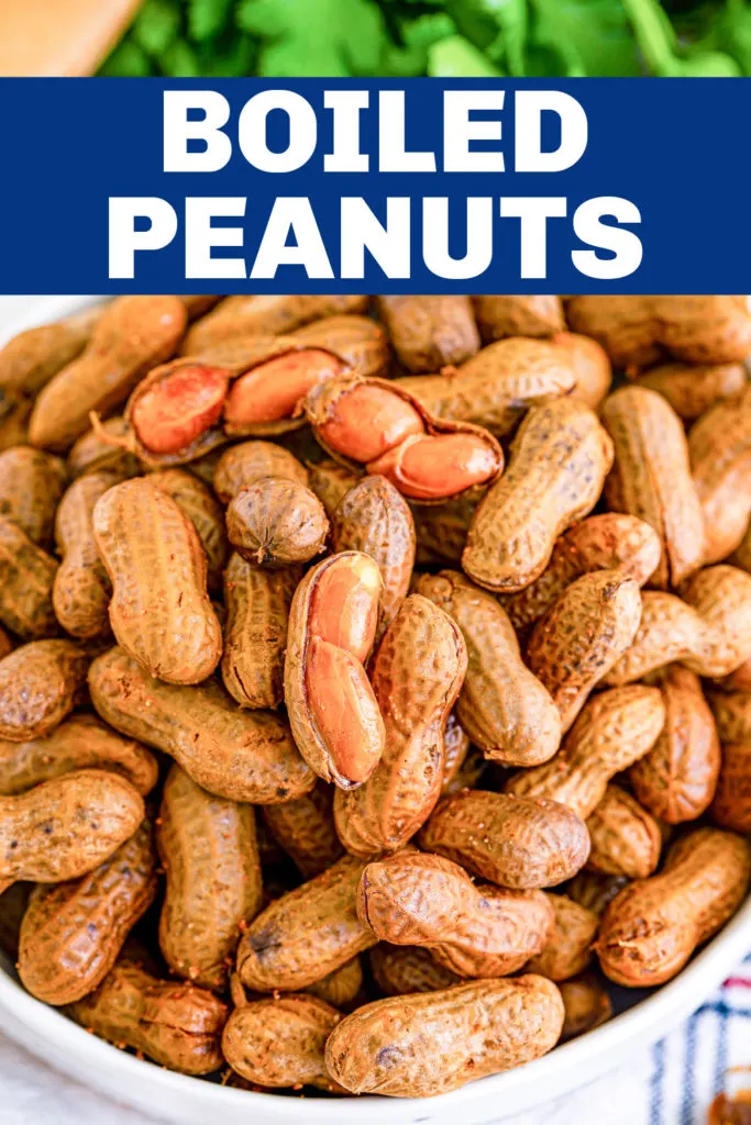 Close up view of Cajun boiled peanuts.