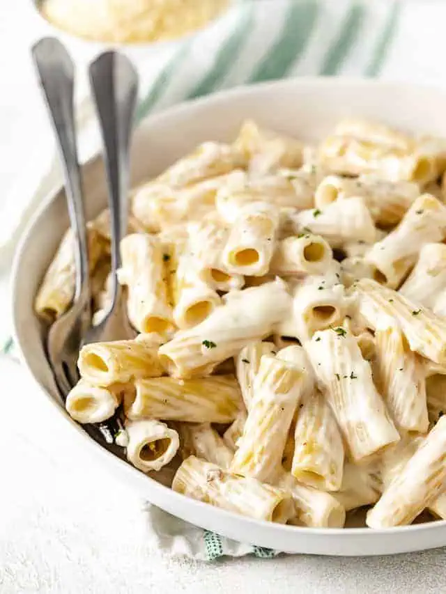 Side view of a plate of cream cheese pasta.