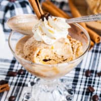 Close up view of pumpkin and coffee flavored ice cream in a bowl.