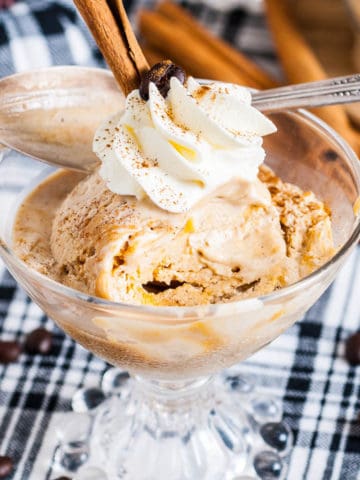 Close up view of pumpkin and coffee flavored ice cream in a bowl.