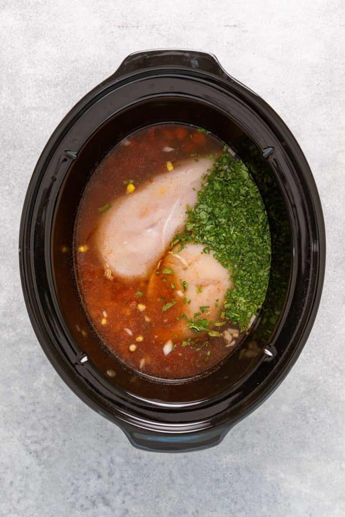 Chicken breasts, broth, tomatoes, and seasoning in a crock pot.