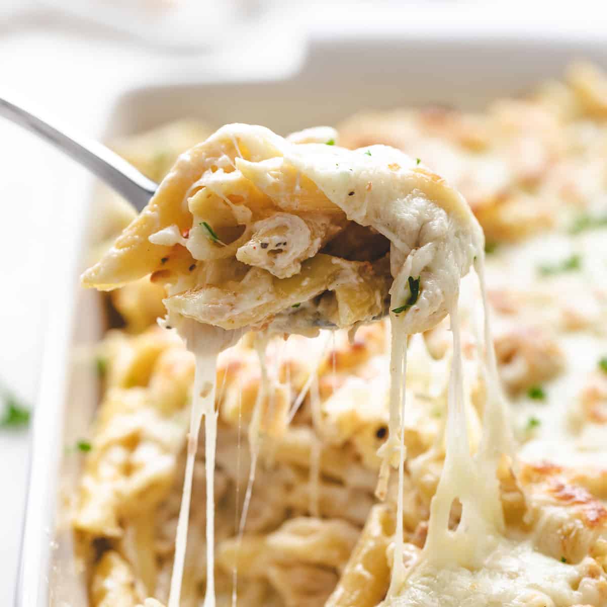 Chicken alfredo bake