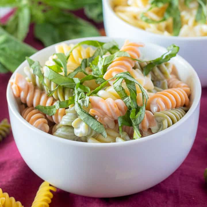 Close up view of a bowl of pasta with lemon cream sauce.