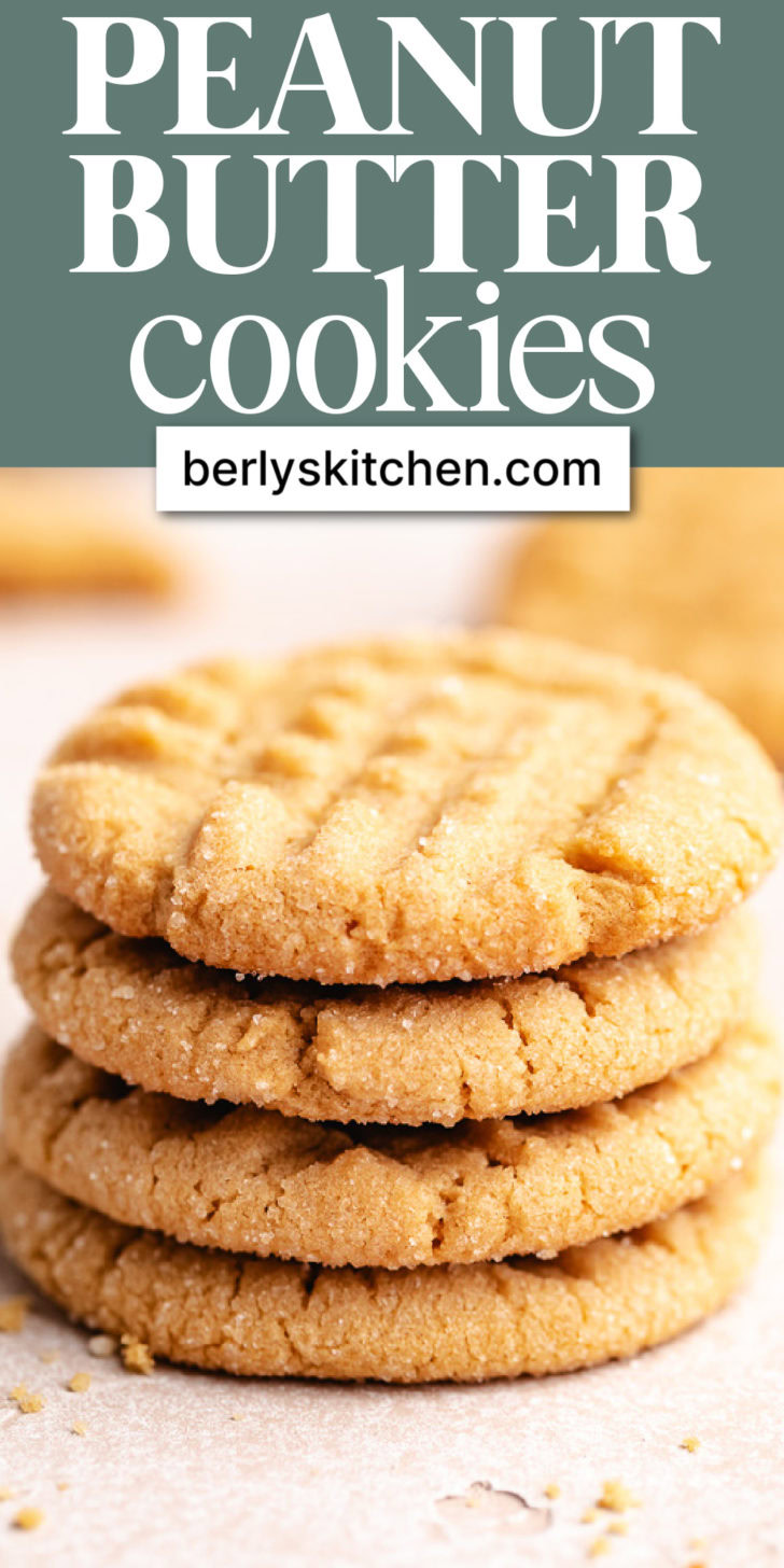 Close up view of a stack of cookies.