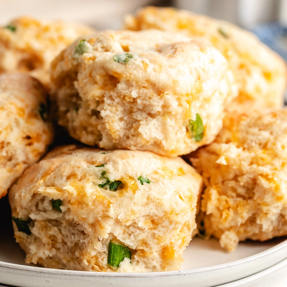 Close up view of cheddar scallion biscuits on a plate.