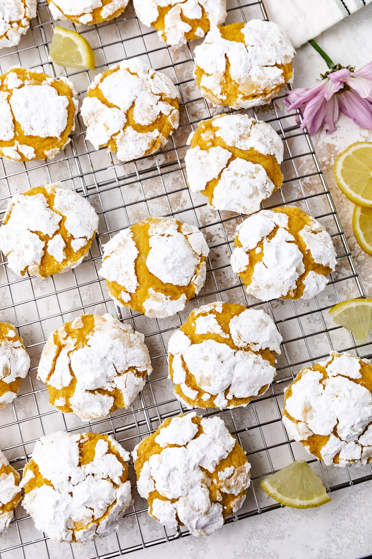 Powdered sugar cookies with bright yellow centers.