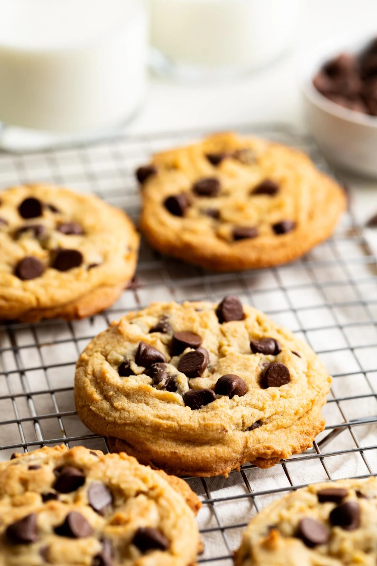 Freshly baked chocolate chip cookies on a cooling rack.