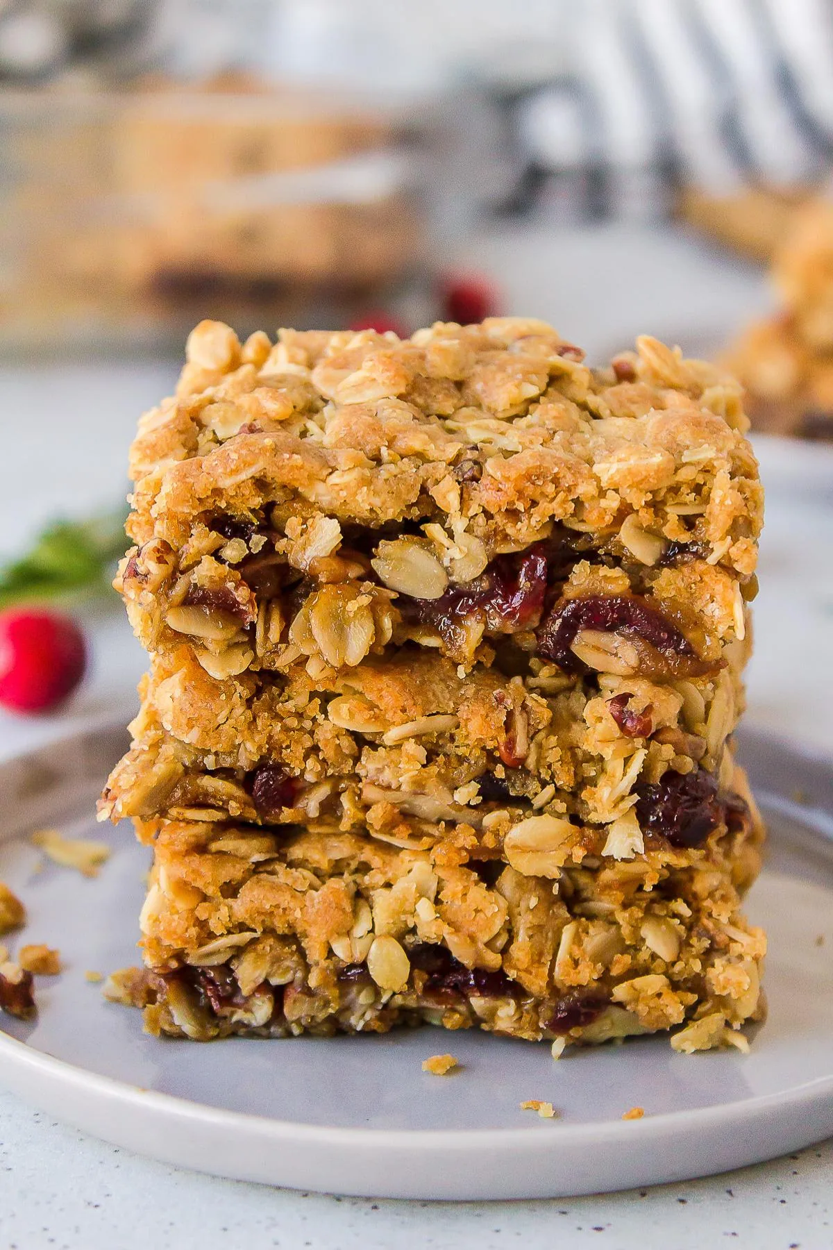 Close-up of cranberry oat bars with oats .