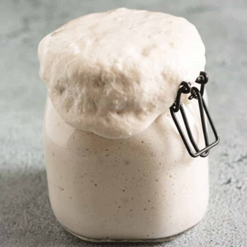 Close up view of a jar of active sourdough starter.